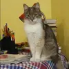 Отзыв от Таисия Маркина